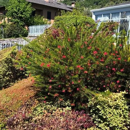 Hotel Lario